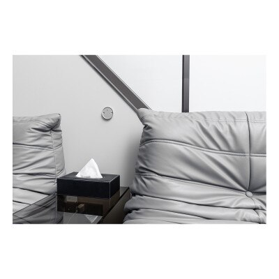 Linxura Smart Controller Wall Mount, Sterling Moon